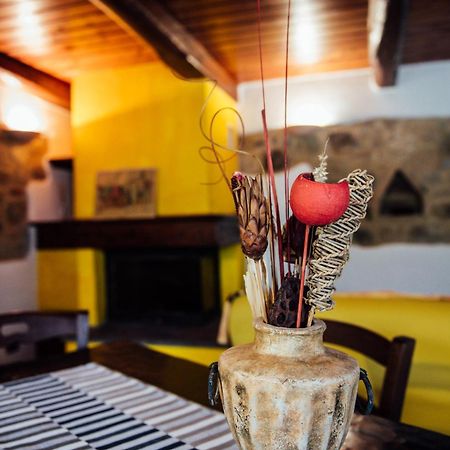 Agriturismo Il Noce Castiglione d'Orcia Ngoại thất bức ảnh